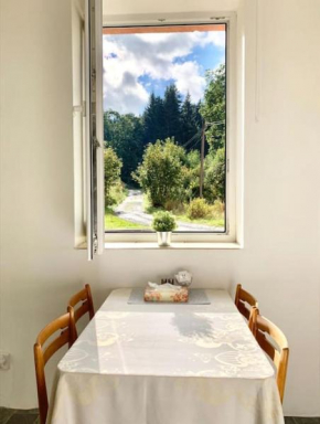 Útulný byt v Jizerských horách -Apartmán Mili